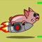 Swine Rocket Race